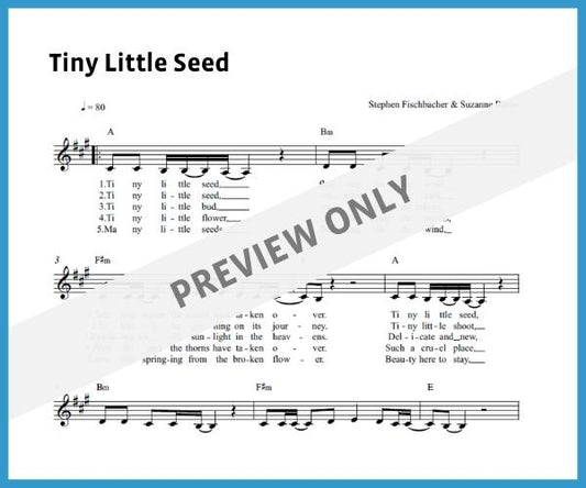 Tiny Little Seed (Sheet Music)